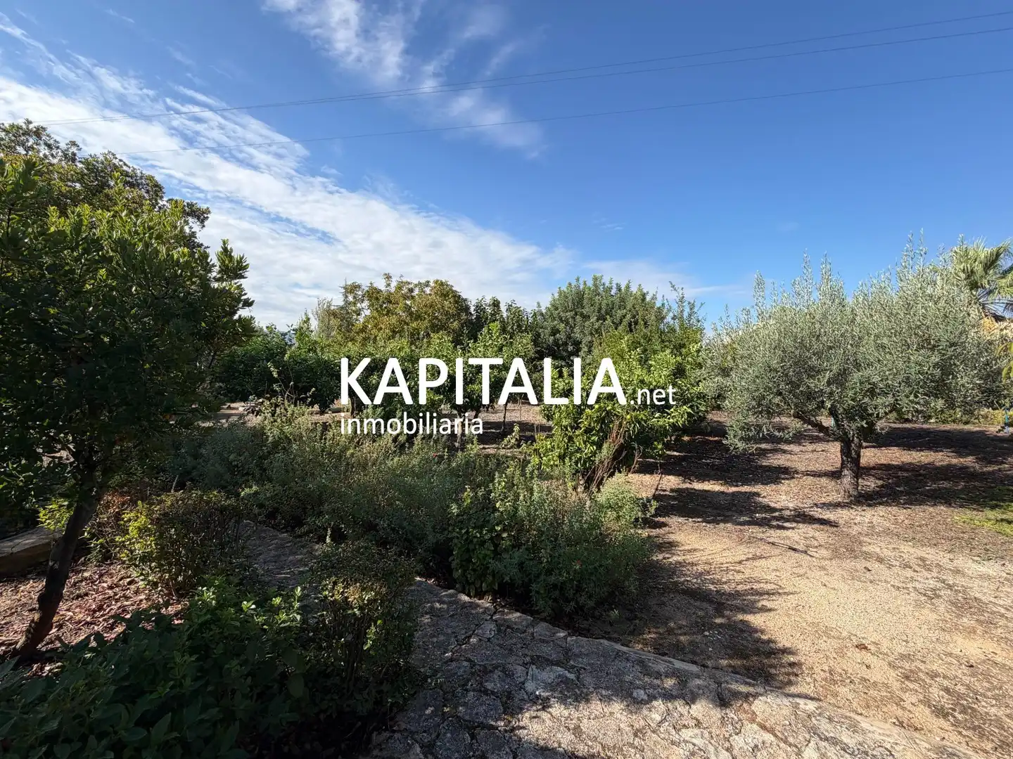Detached house with garden for sale in El Pilar, imagen 13