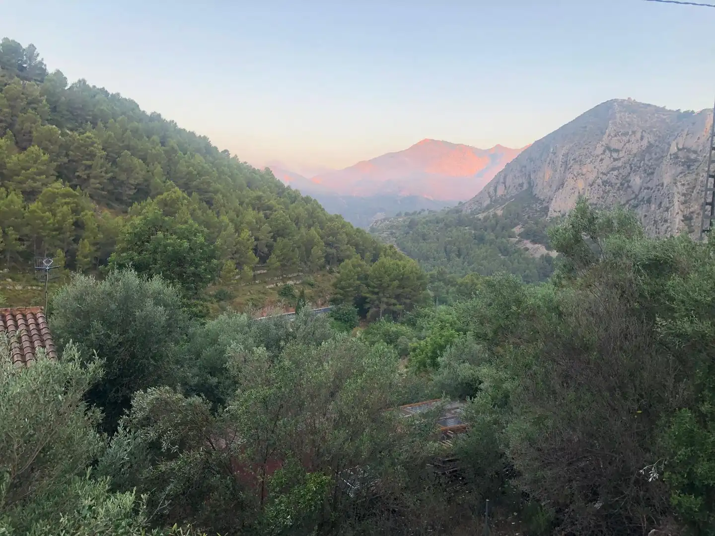 Vista exterior de Casa o xalet en venda en Tàrbena amb Aire condicionat, Calefacció i Jardí privat