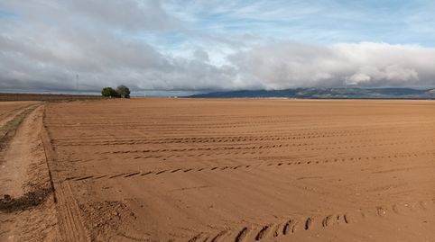 Photo 4 of Land for sale in Centro ciudad, Linares