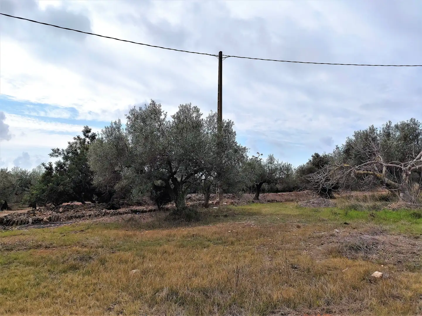 Terrain rustique à vendre à Alcanar, imagen 3