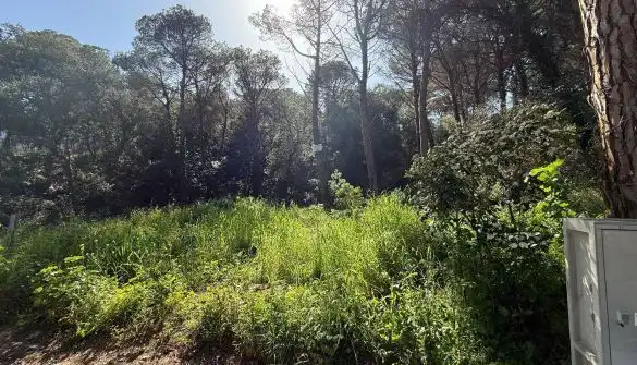 Grundstücke und Bauplätze zum Verkauf in Mas Pere - Río de Oro, imagen 6