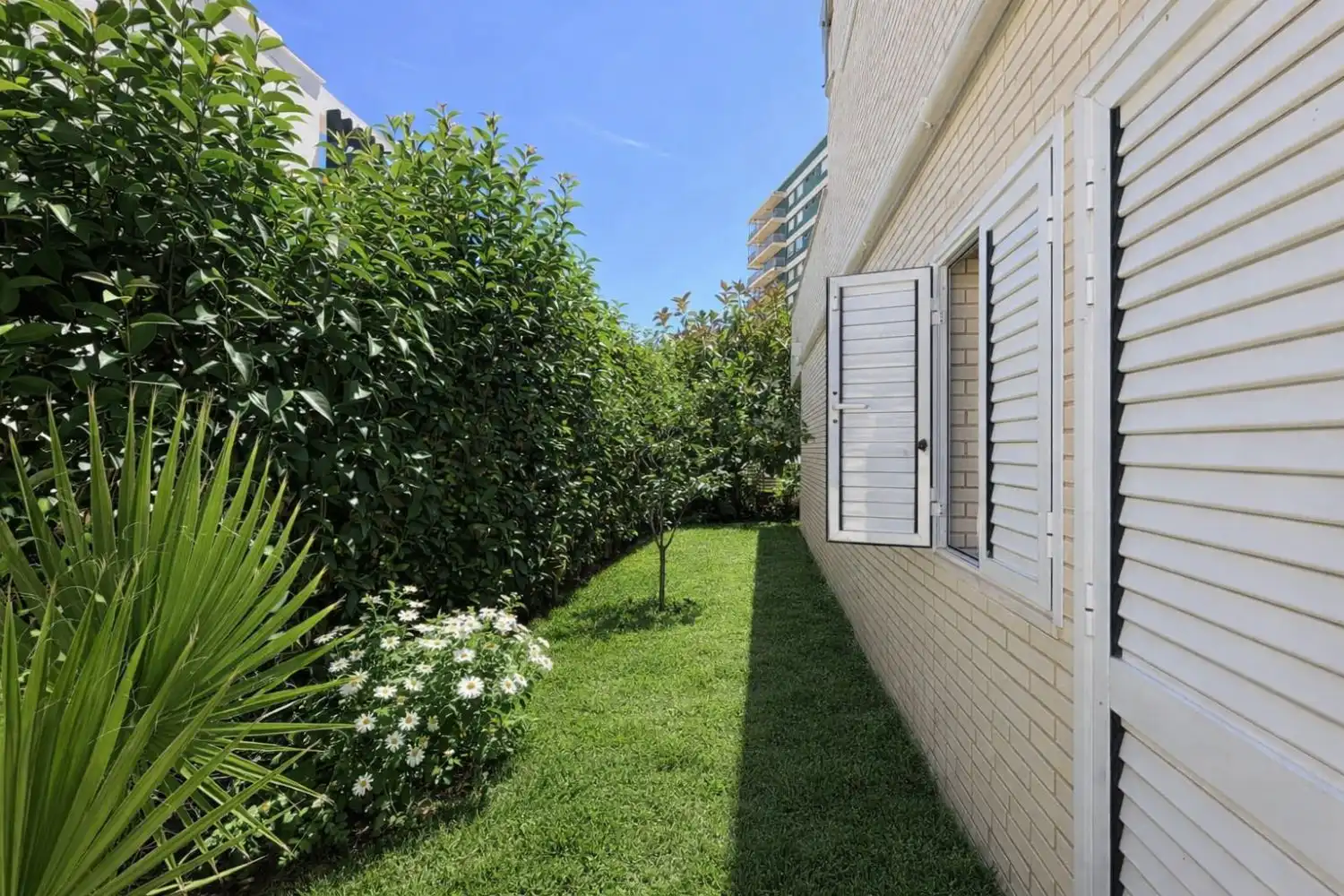 Haus mit Terrasse zum Verkauf in Heliópolis, imagen 32