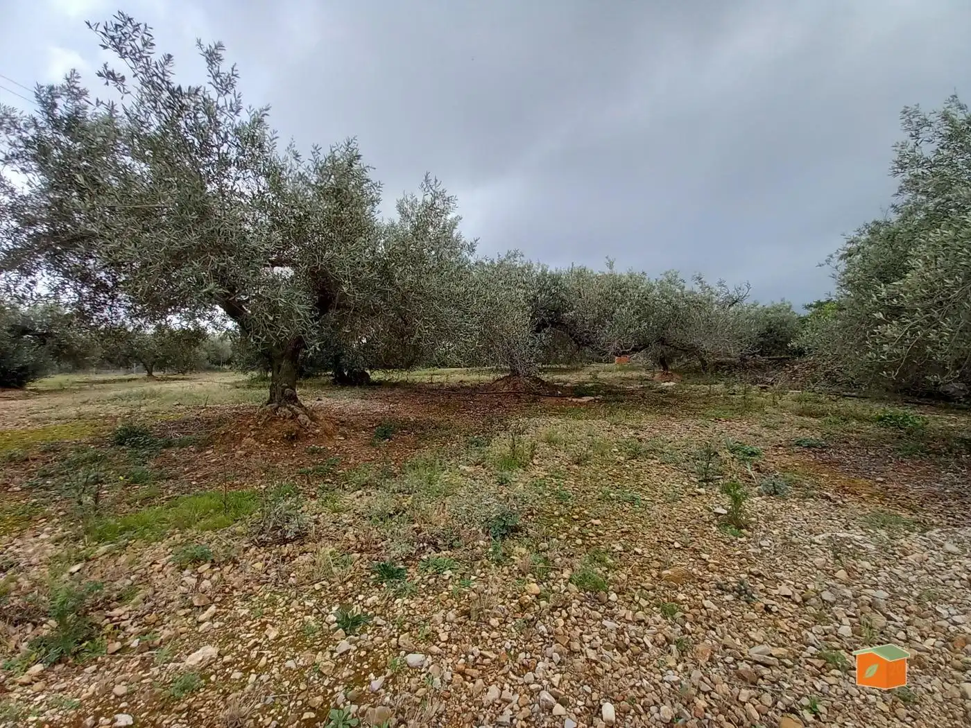 Terreno rustico in vendita a Alcanar