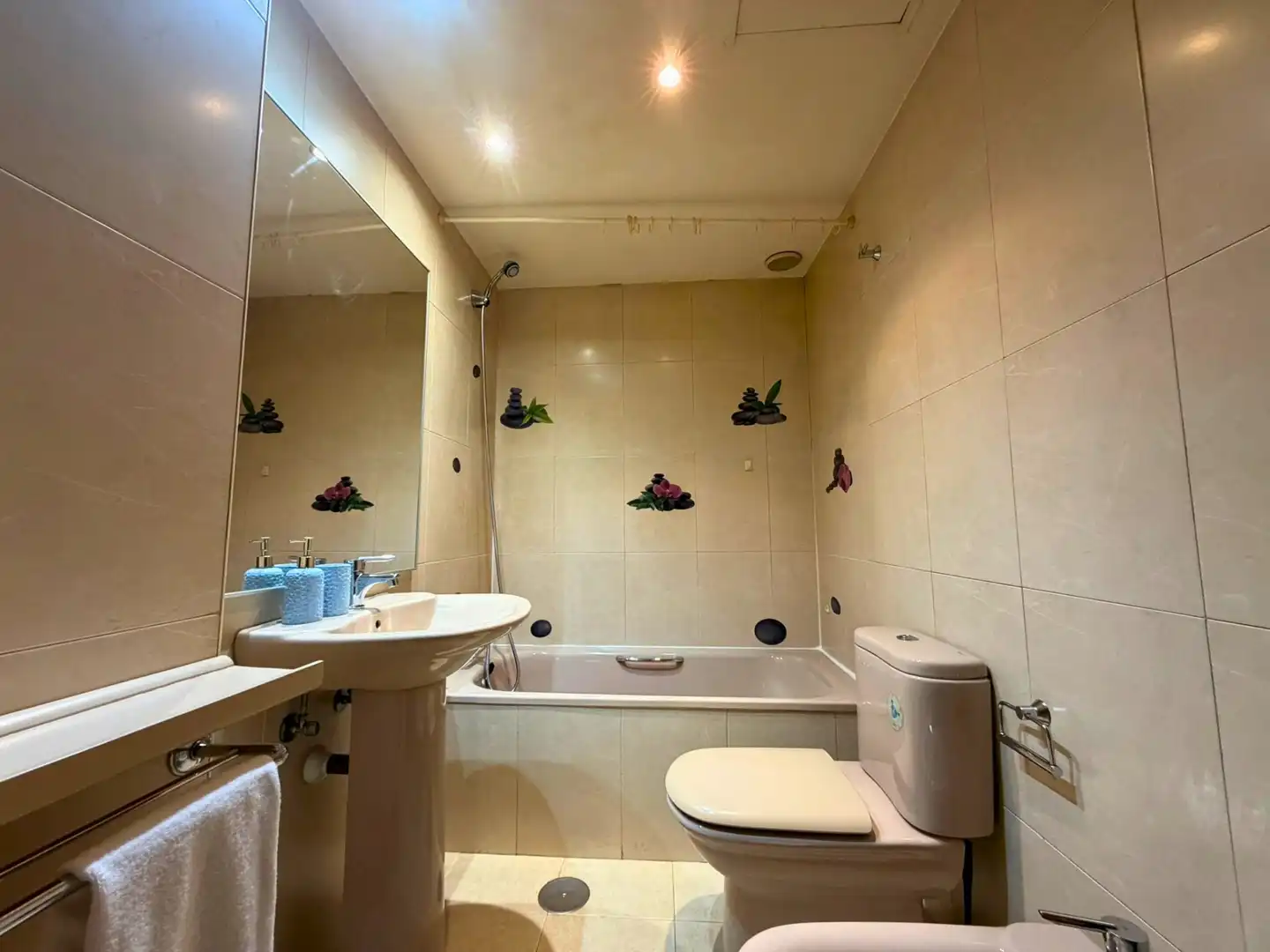 Bany de Apartament en venda en Madrid amb Aire condicionat, Calefacció i Parquet