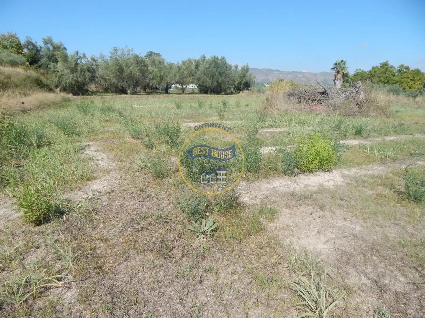 Terrain rustique à vendre à Sant Josep - Zona Hospital, imagen 3