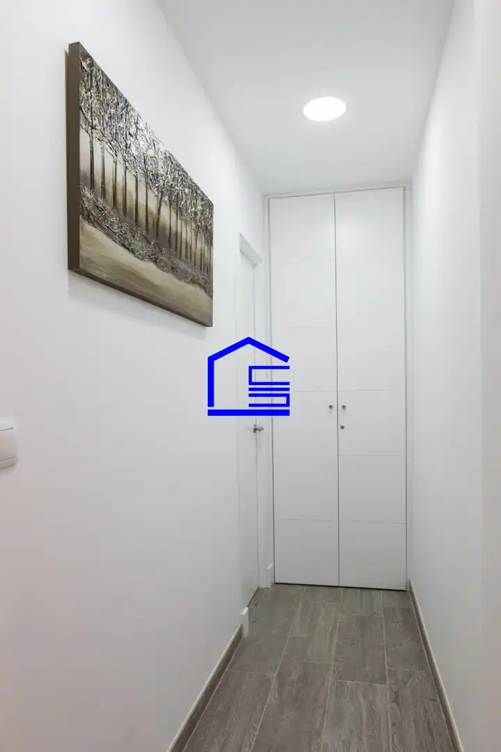 Apartments for rent in Centro Histórico