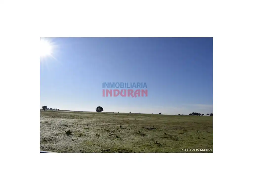 Finca rústica en venta en Las Ventas de San Julián