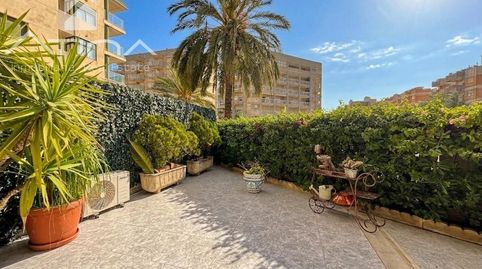 Foto 2 de Planta baja en venta en Daimús, Valencia