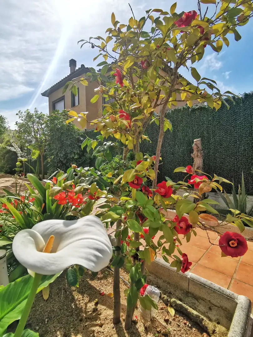 Casa con piscina en venta en Fenals, imagen 57