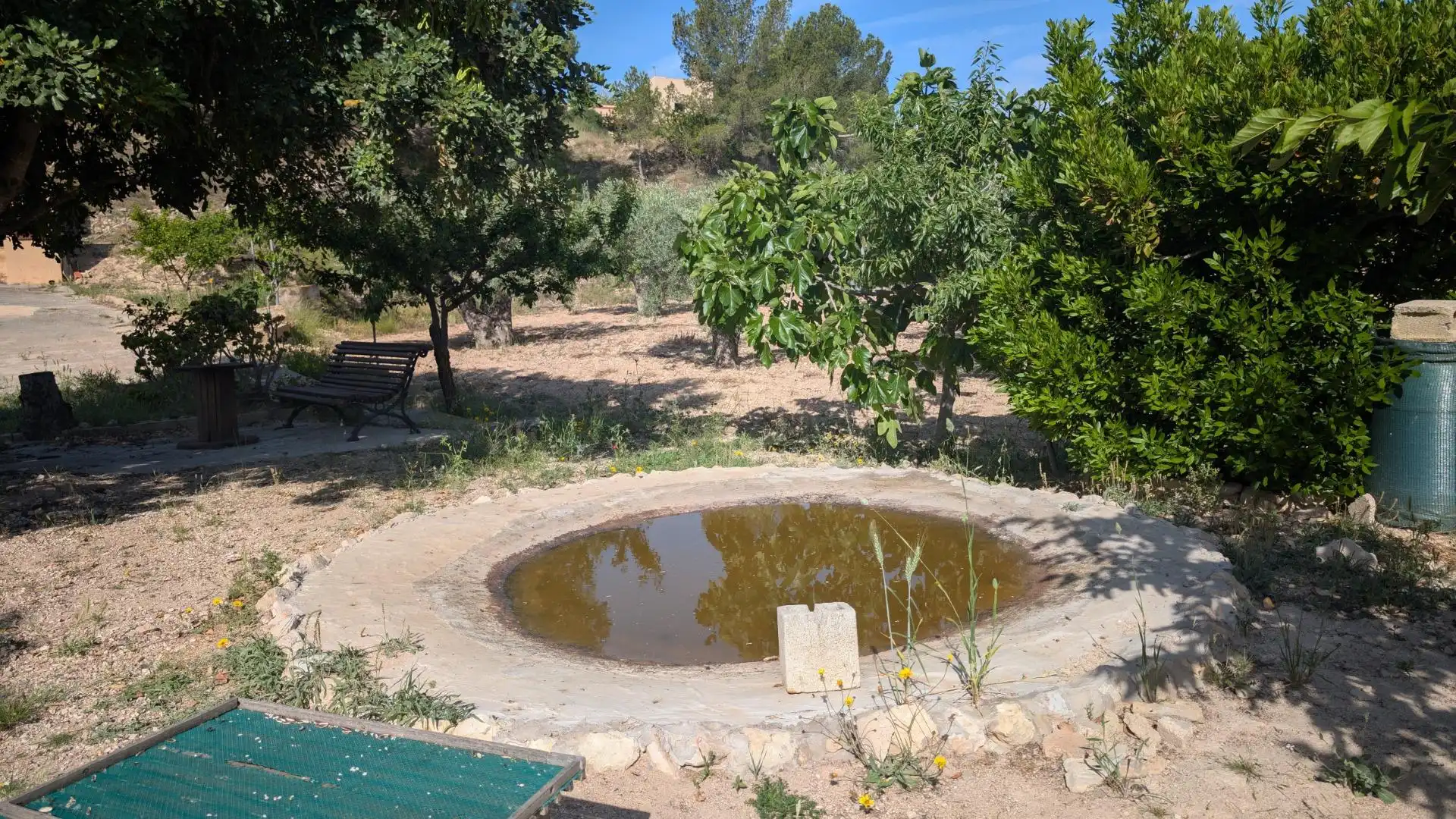 Casa con jardín en venta en Hondón de las Nieves / El Fondó de les Neus, imagen 68