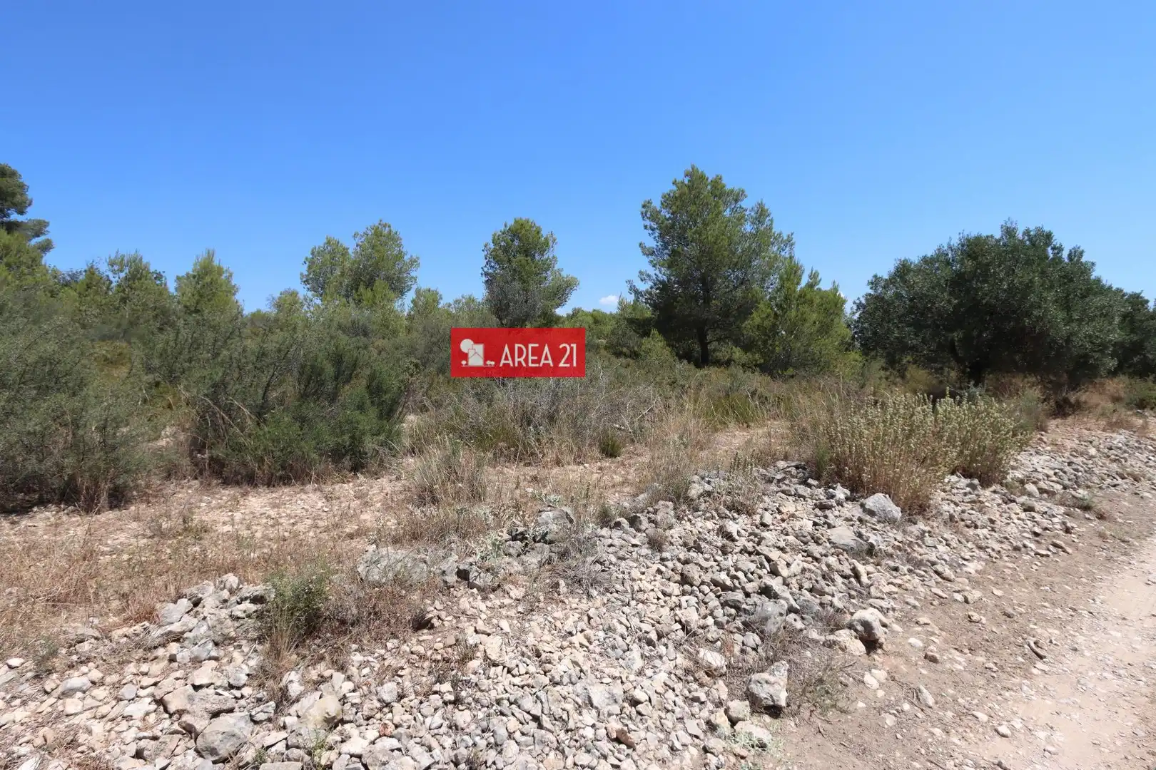 Terreno rústico en venta en Pla dels Aljubs, imagen 3