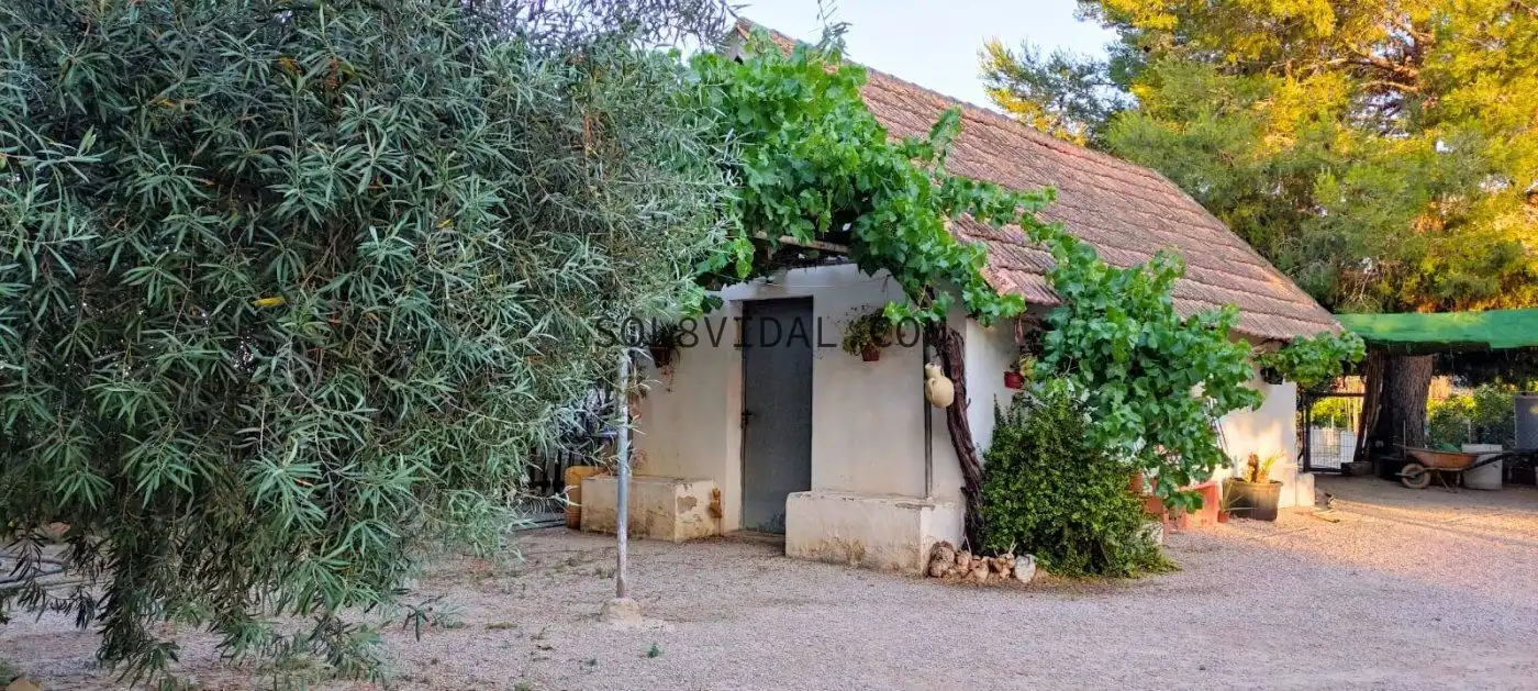 Jardí de Casa o xalet en venda en Orihuela amb Calefacció, Jardí privat i Terrassa