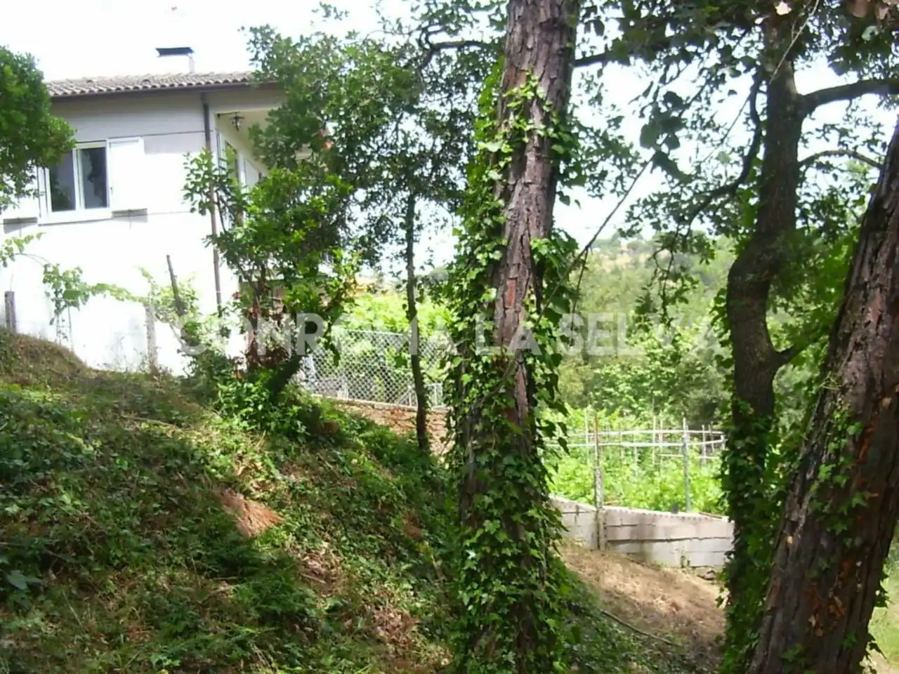 Residential land for sale in Residencial Park, imagen 12