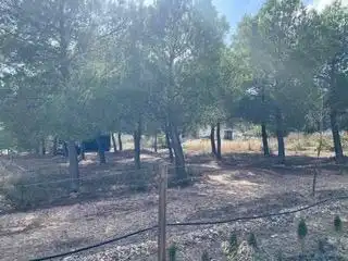 Casa o xalet en venda en Yecla