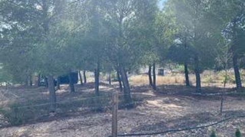 Venta de Casa Independiente con parcela en Yecla, imagen 3