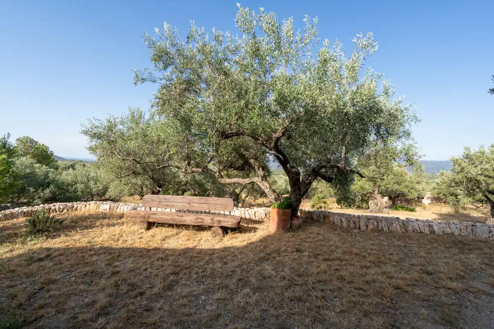 Jardín de Finca rústica en venta en Aldover con Jardín privado, Terraza y Amueblado