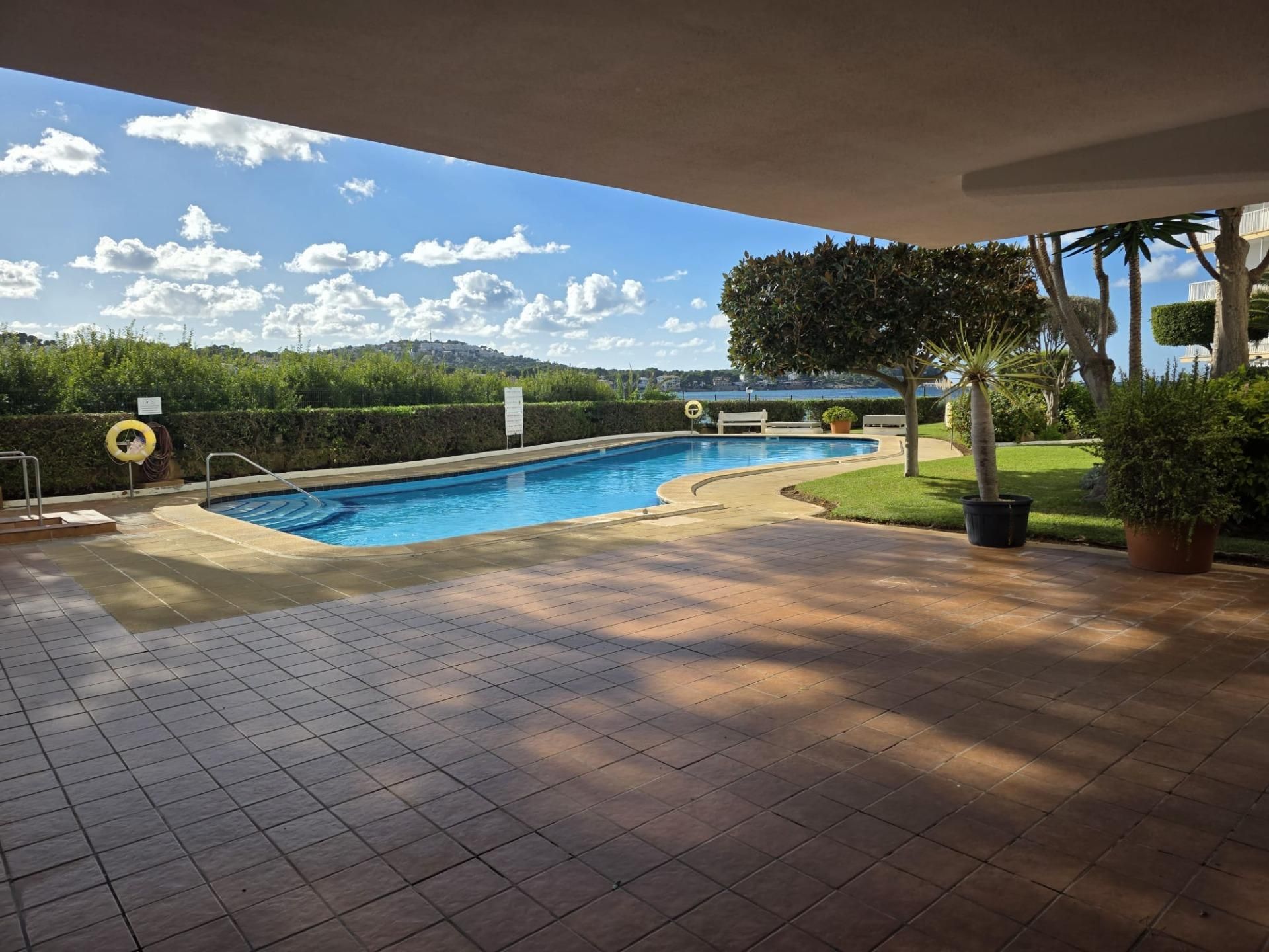 Swimming pool of Planta baja for sale in Calvià  with Terrace, Storage room and Community pool
