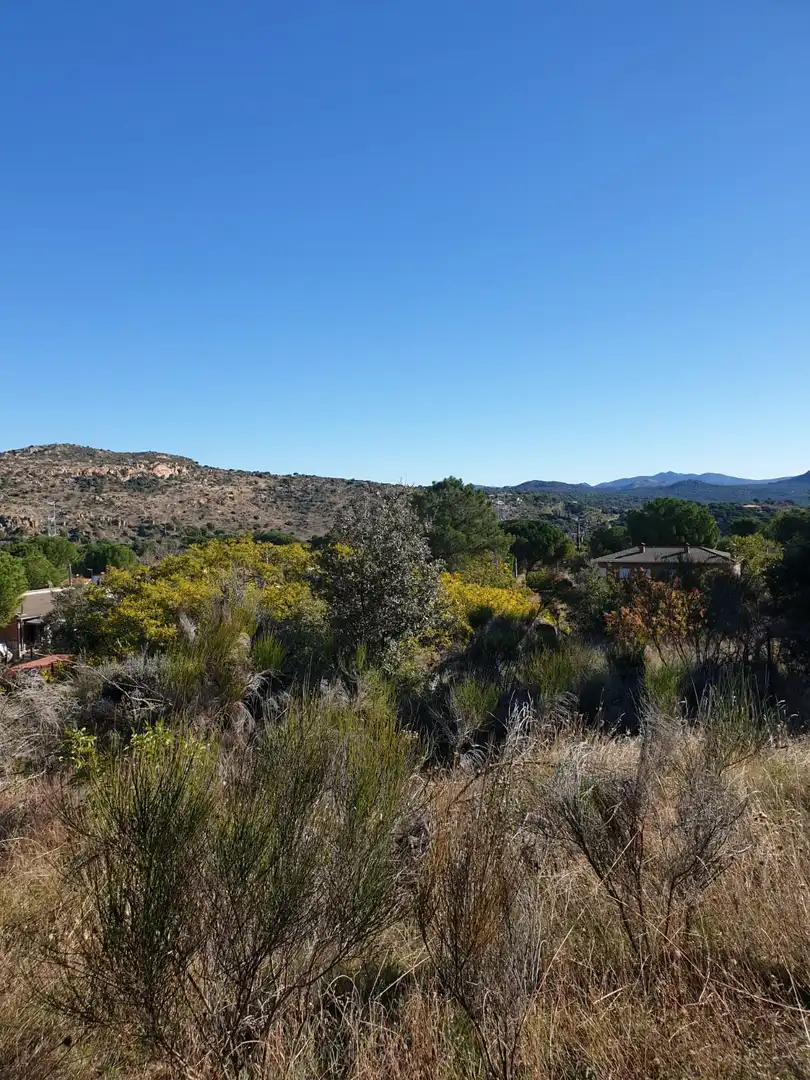 Terreny en venda en El Tiemblo 