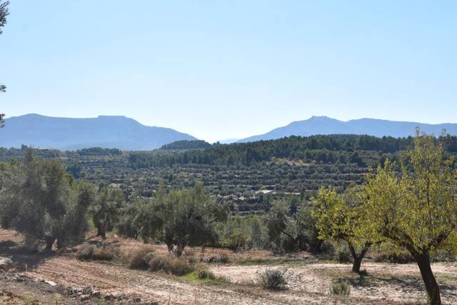 Terreno en Venta en Valderrobres
