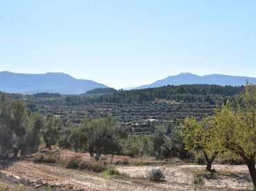 Terreno rustico in vendita a Valderrobres