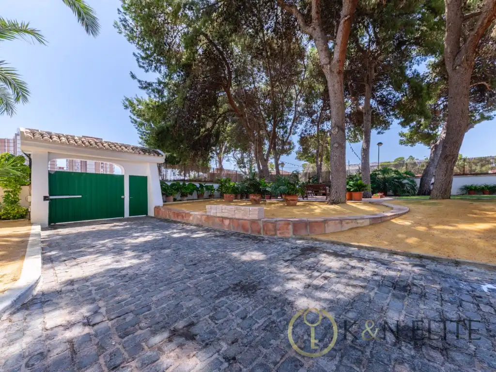 Vista exterior de Casa o xalet en venda en Alicante / Alacant amb Aire condicionat, Jardí privat i Terrassa