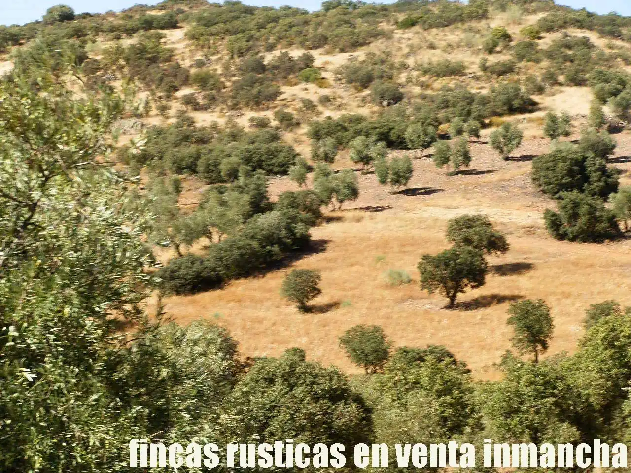 Terreny rústic en venda a Fuente el Fresno, imagen 13