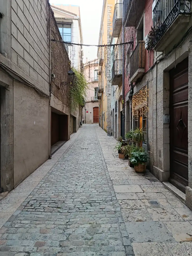 Vista exterior de Dúplex en venta en Girona con Aire acondicionado, Calefacción y Parquet