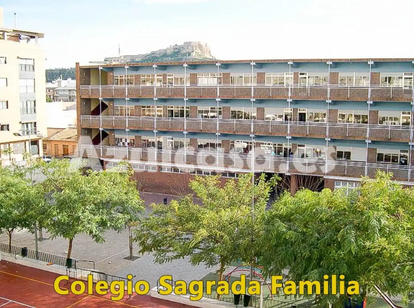 Gewerbefläche zum Verkauf in Campoamor - Altozano, imagen 12