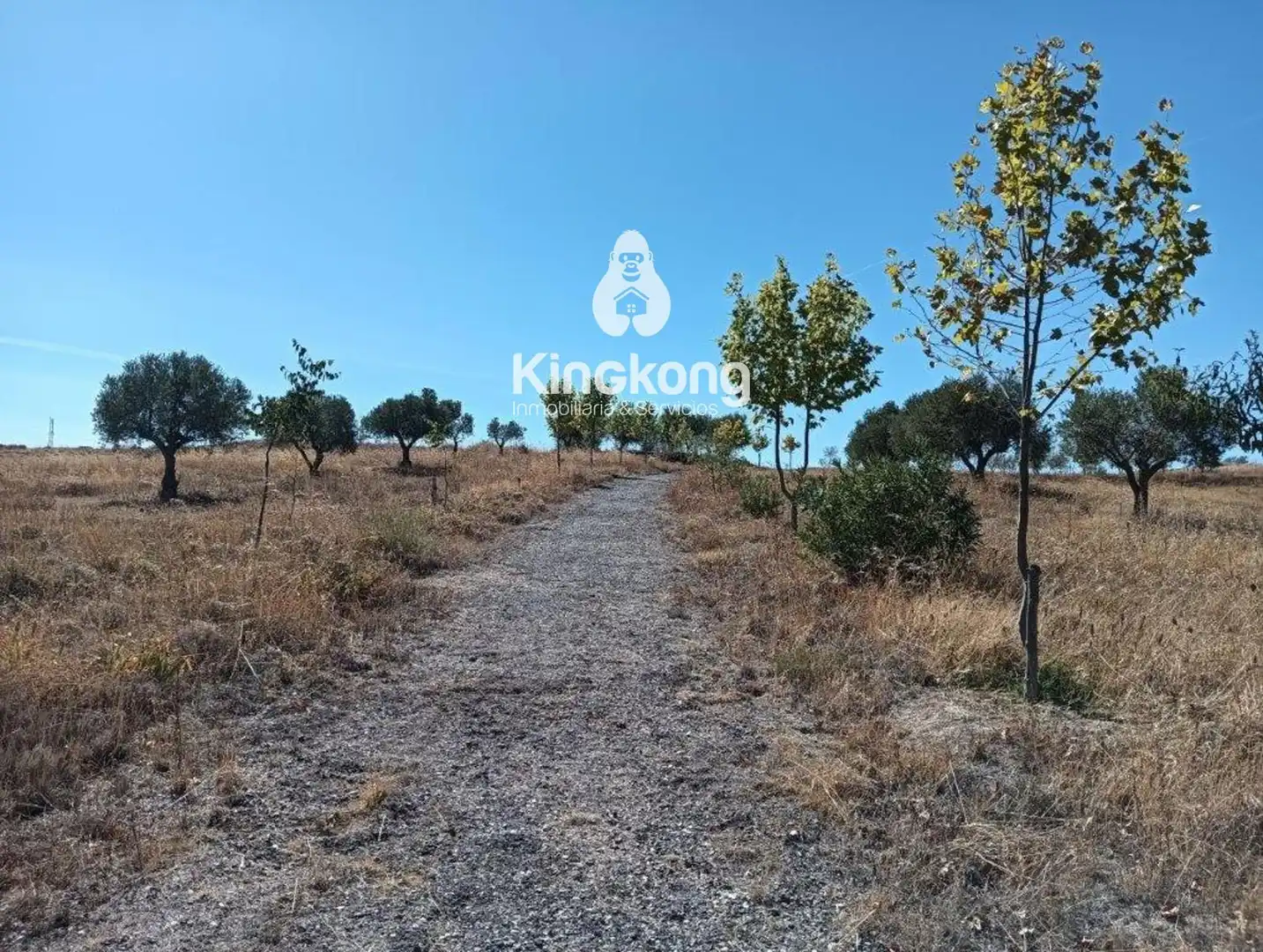 Residential for sale in Belinchón