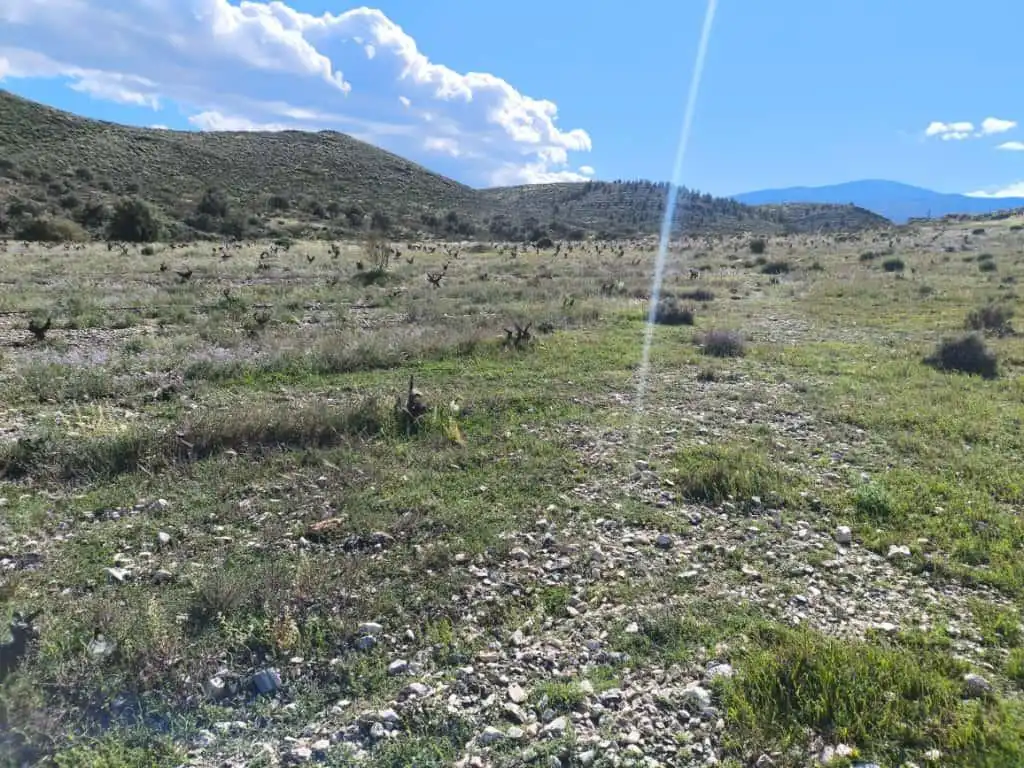 Terreno rustico in vendita a Alboloduy 5, imagen 6