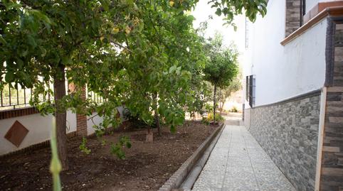 Foto 3 de Casa o xalet en venda a Villanueva del Rosario, Málaga