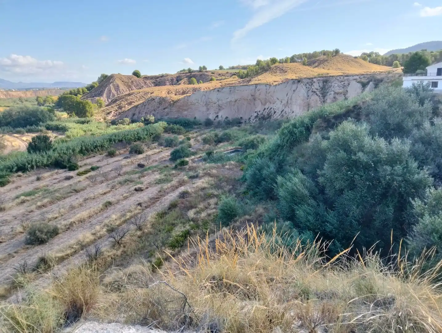 Lands and plots for sale in Mula, imagen 30