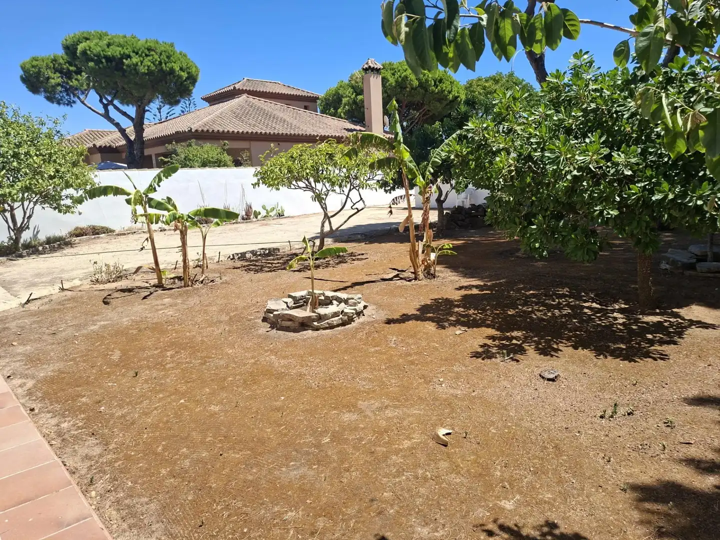 Jardí de Casa o xalet en venda en Chiclana de la Frontera amb Jardí privat