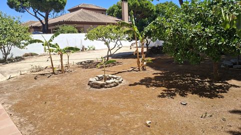 Foto 4 de Casa o xalet en venda a Carretera Carretera de la Barrosa, Novo Sancti Petri, Chiclana de la Frontera