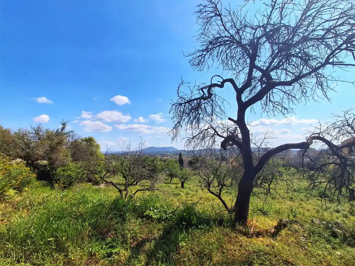 Pis en venda en Selva, Illes Balears
