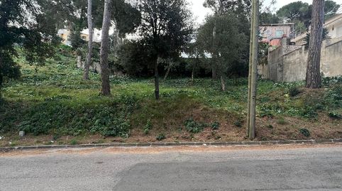 PARCELA EN MAS MORA, imagen 3