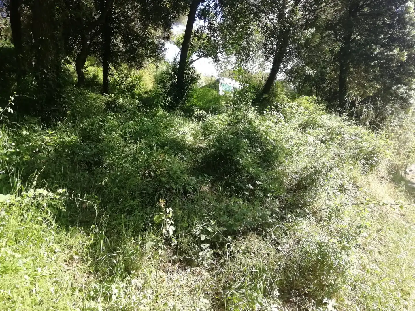 Residential land for sale in Sant Pere de Vilamajor, imagen 7