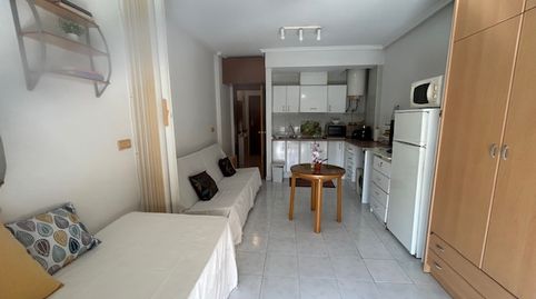 Photo 2 of Study for rent in Calle del Tomillo, El Molino, Torrevieja