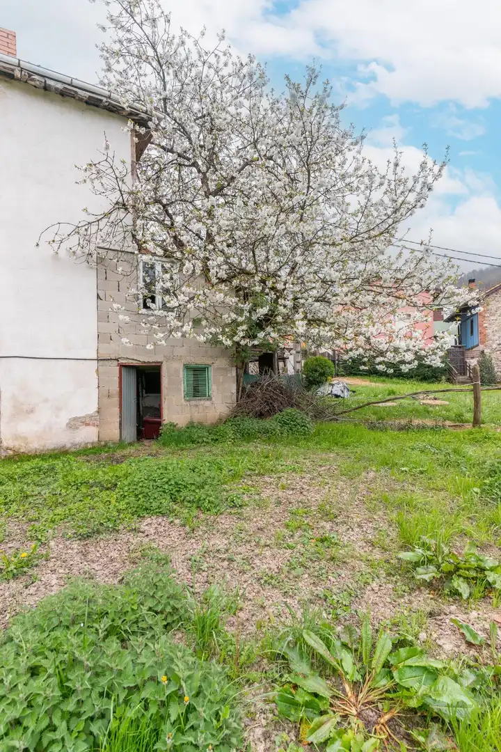 Casa o xalet en venda en Laviana amb Calefacció, Jardí privat i Terrassa