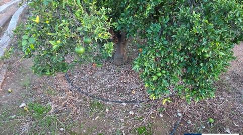 Photo 4 of Land for sale in Carretera Tercer Sedeny, 1198, Piscinas, Castellón