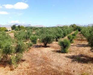 Residencial en venda en Pollença