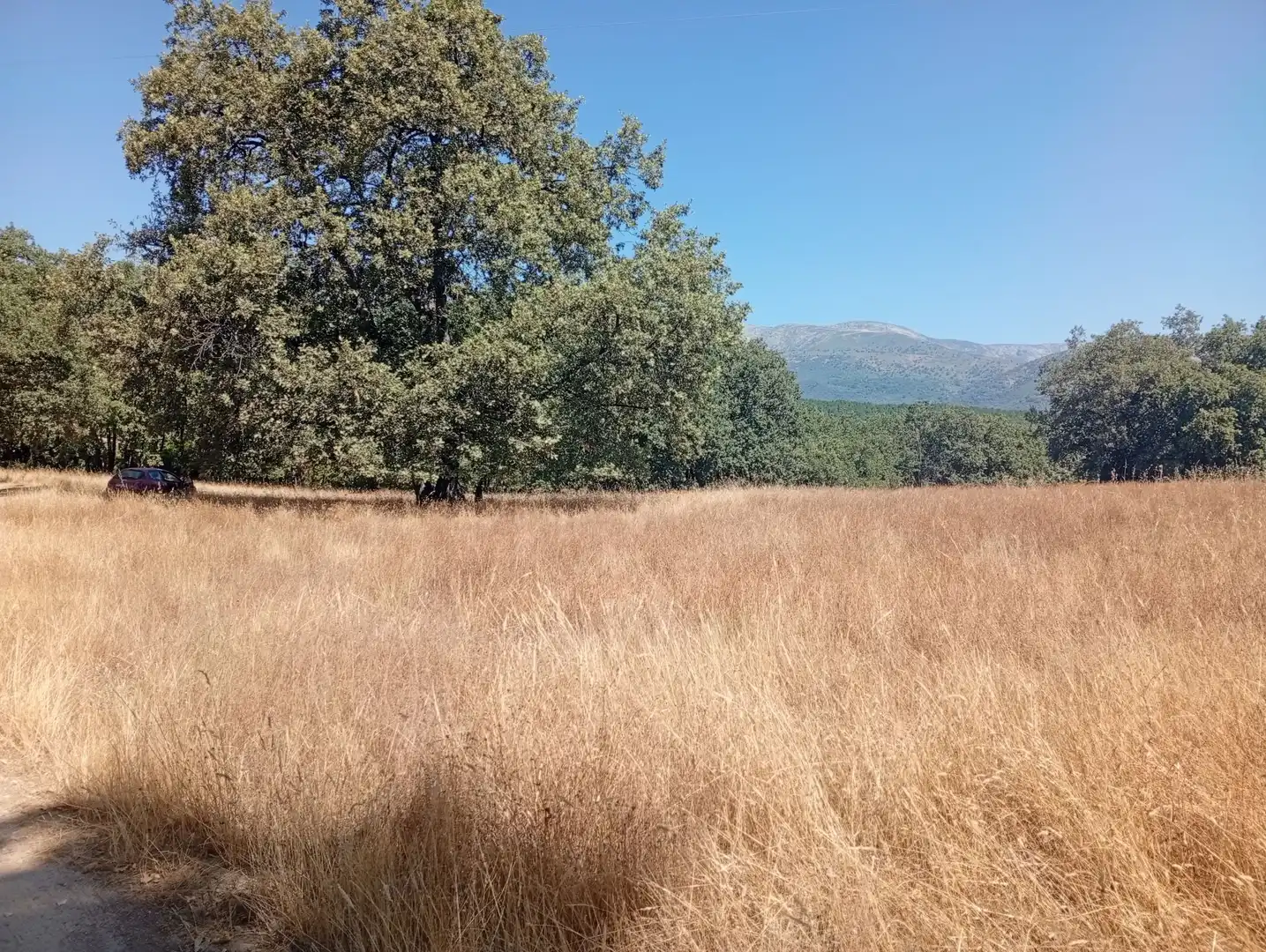 Terreni e lotti in vendita a Villanueva de la Vera, imagen 64