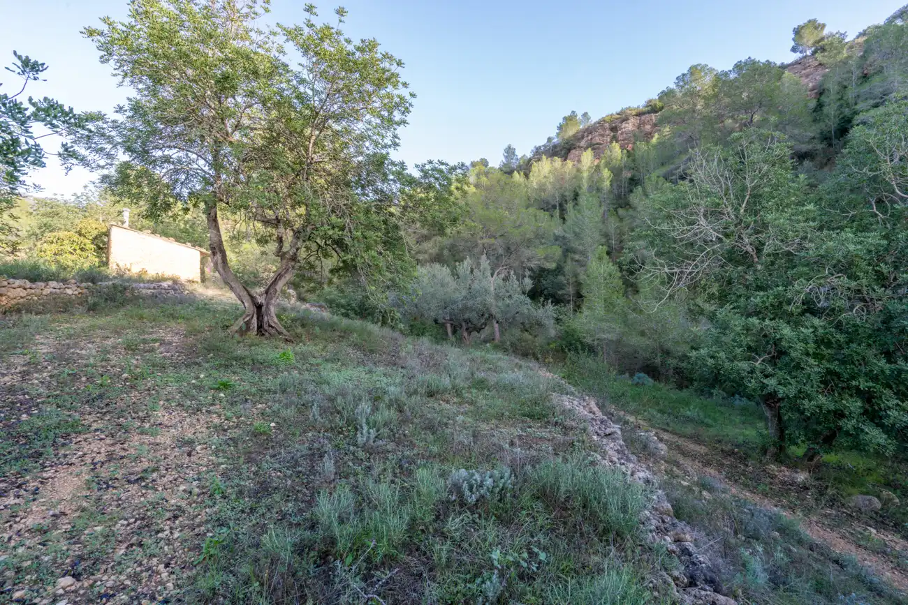 Terrain rustique à vendre à Tivenys, imagen 9