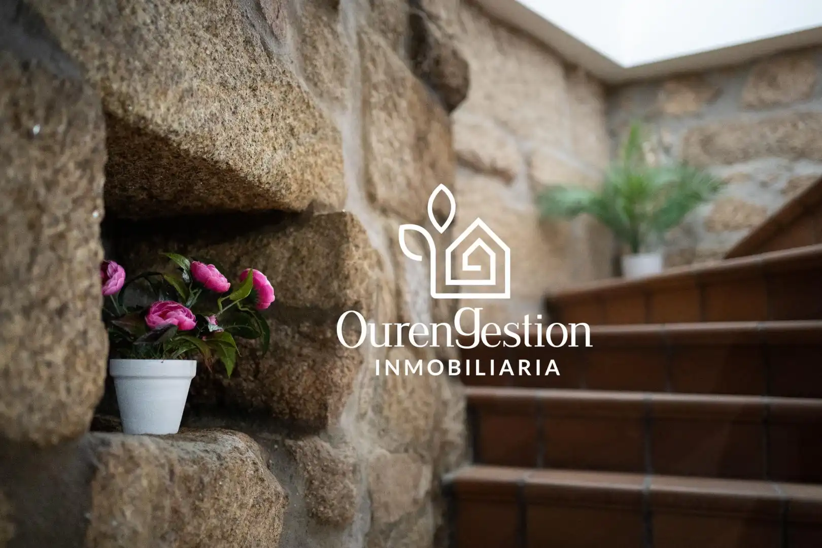 Exterior view of Country homes for sale in O Pereiro de Aguiar   with Furnished and Balcony