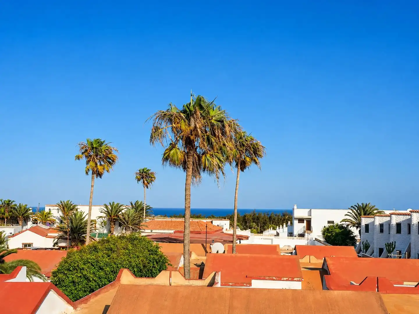 Vista exterior de Casa o xalet en venda en Pájara amb Terrassa