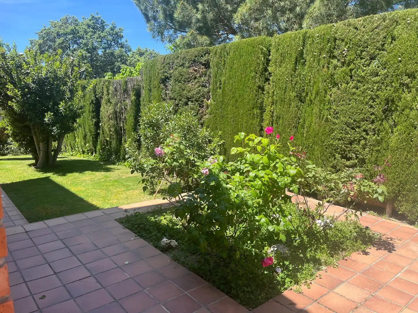 Garden of Detached homes for rent in La Navata