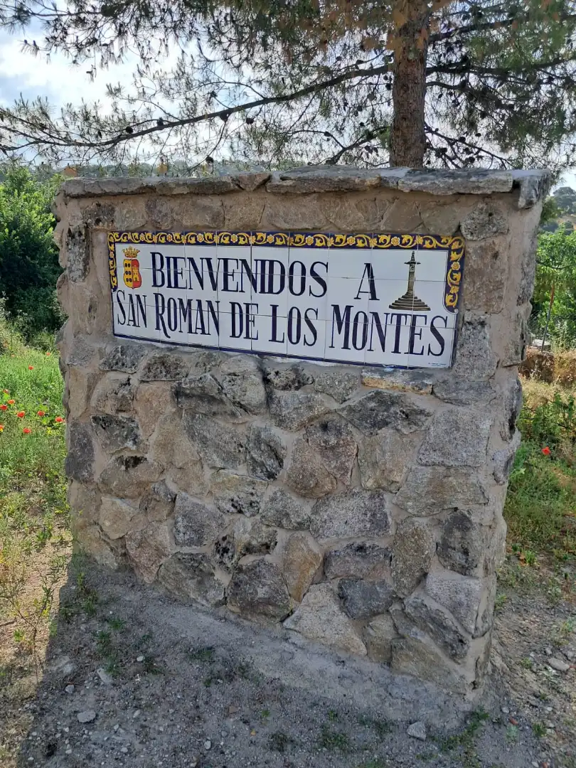 Terreno residenziale in vendita a San Román de los Montes, imagen 11