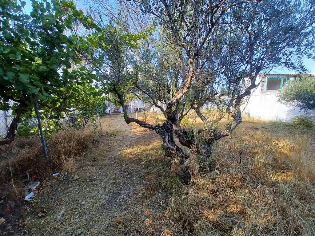 House with garden for sale in El Pedernoso, imagen 45