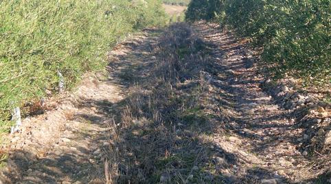 Photo 5 of Land for sale in Las Abejorras, El Higuerón,  Córdoba Capital