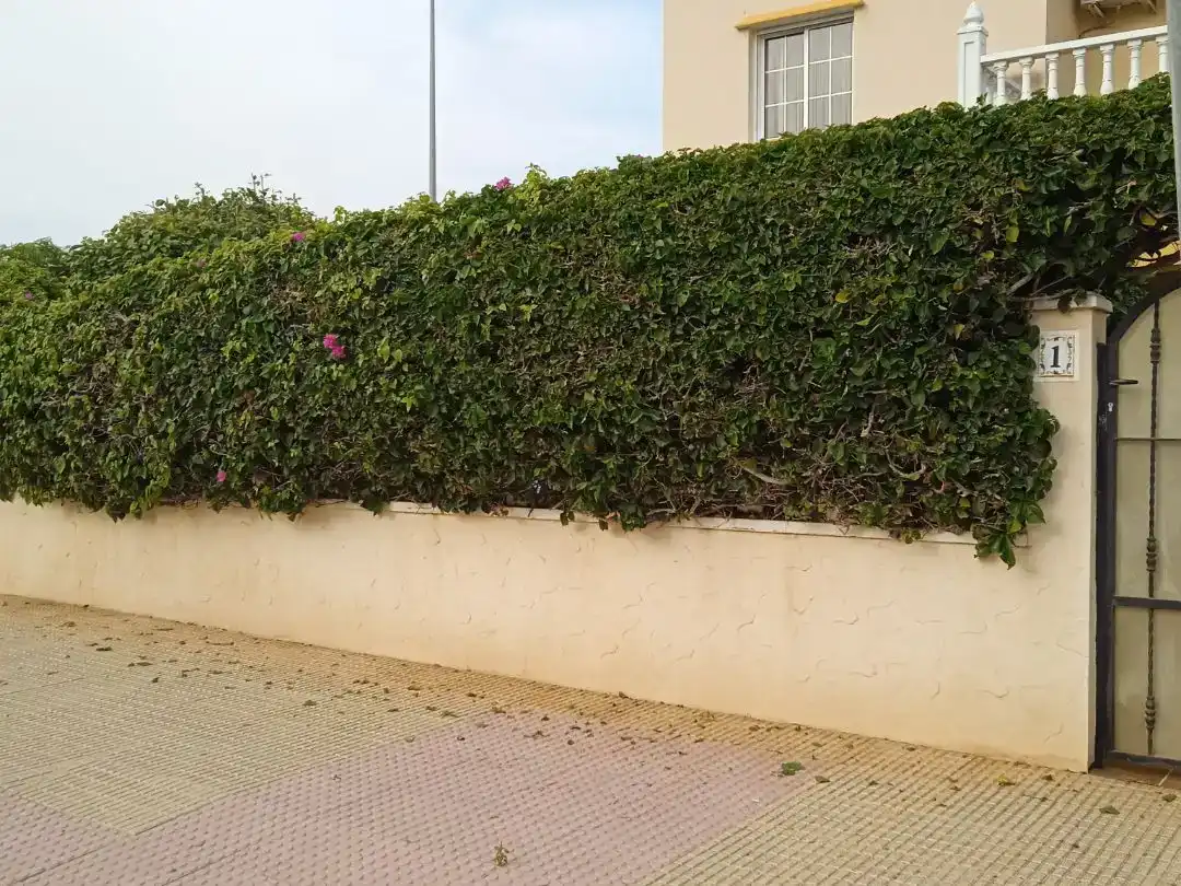 Jardí de Pis en venda en Orihuela amb Aire condicionat i Terrassa